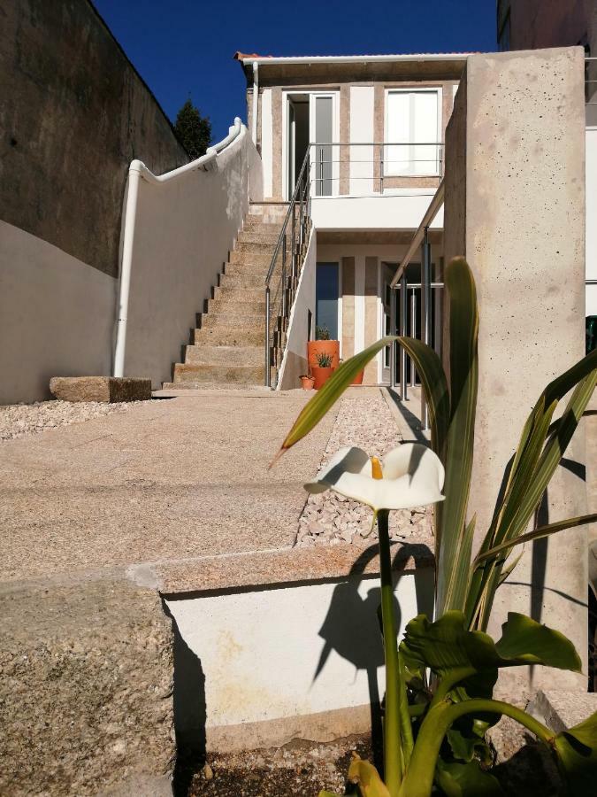 Casa Ventuzelo Apartment ปอร์โต ภายนอก รูปภาพ
